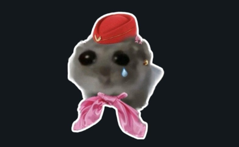 @smellycatt gönderi görseli
